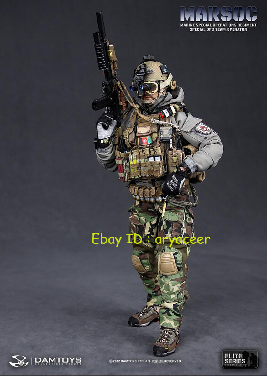 DAMTOYS 78007 1/6 Marsoc Special OPS Team Operator Figure Model In
