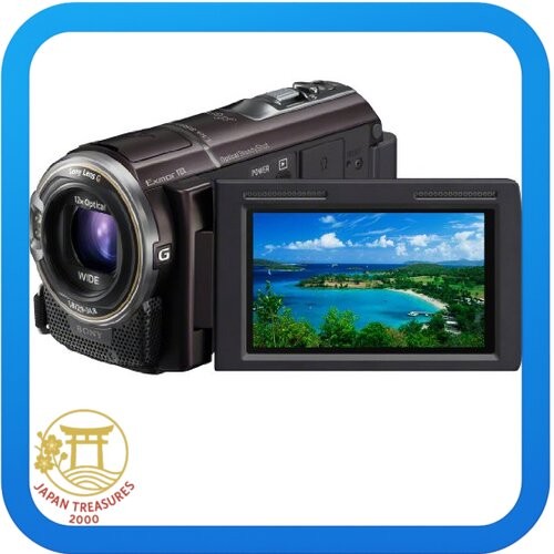 SONY HD Video Camera Handycam HDR-CX590V Bordeaux Brown | eBay