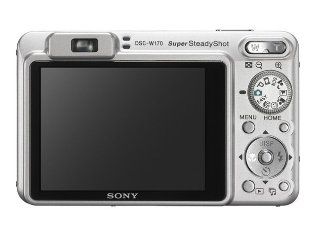 Sony Cyber-shot DSC-W170 10.1MP Digital Camera - Silver (DSC-W170