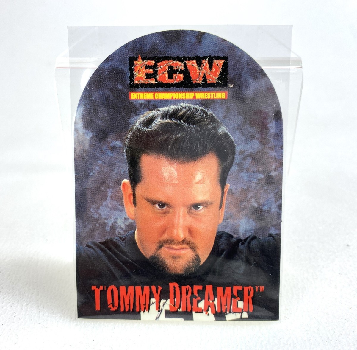 ECW プロレスカード ジ・イリミネーターズ ECW プロレスカード ジ