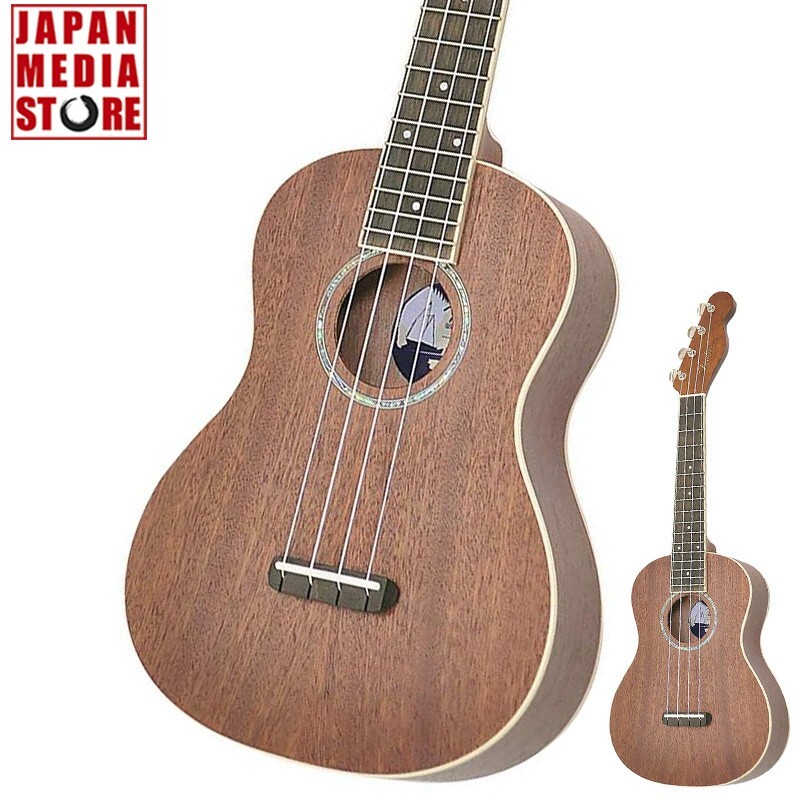 Shinano アコースティックギター ブラウン Shinano アコースティック