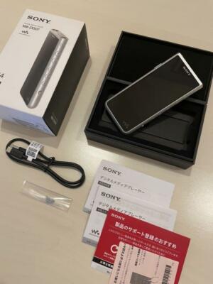 SONY NW-A45 Digital Audio Player DAP Walkman 16GB Grayish Black | eBay