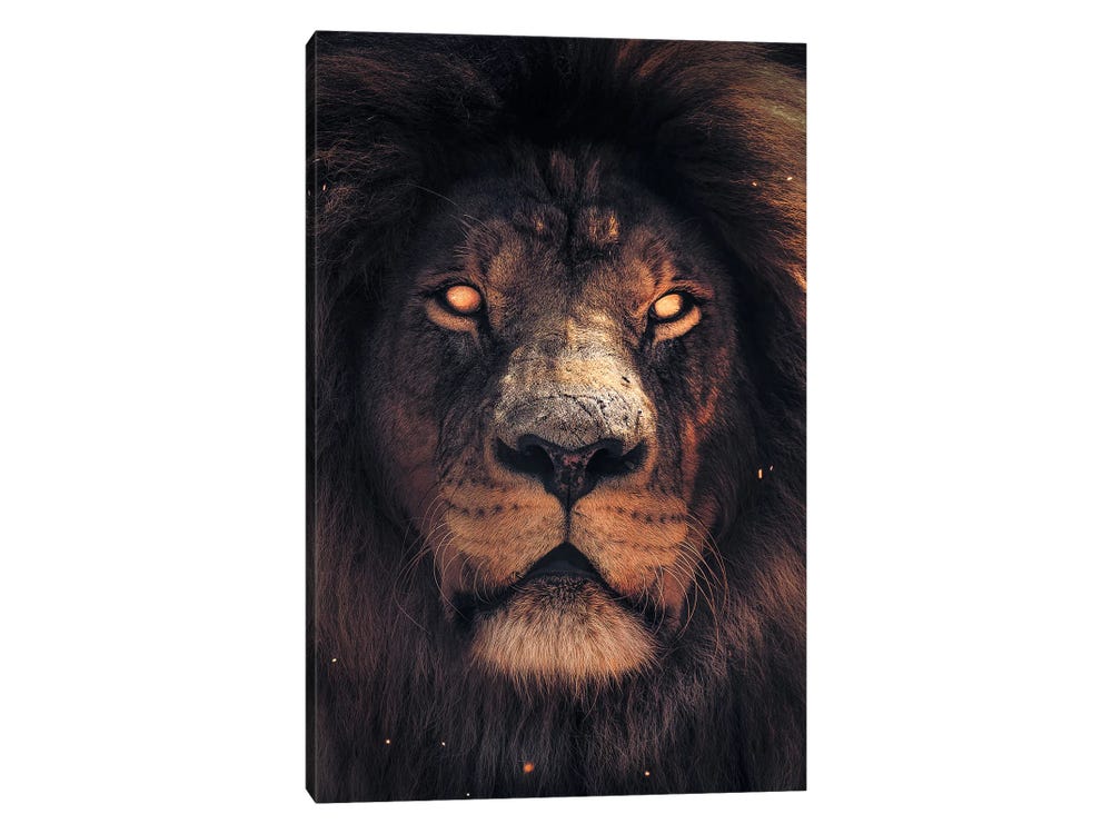 Lion Scary Canvas Wall Art by Zenja Gammer | iCanvas