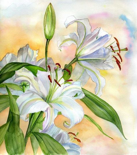 ユリの花 水彩画 シルバーフレーム ユリの花 水彩画 シルバーフレーム