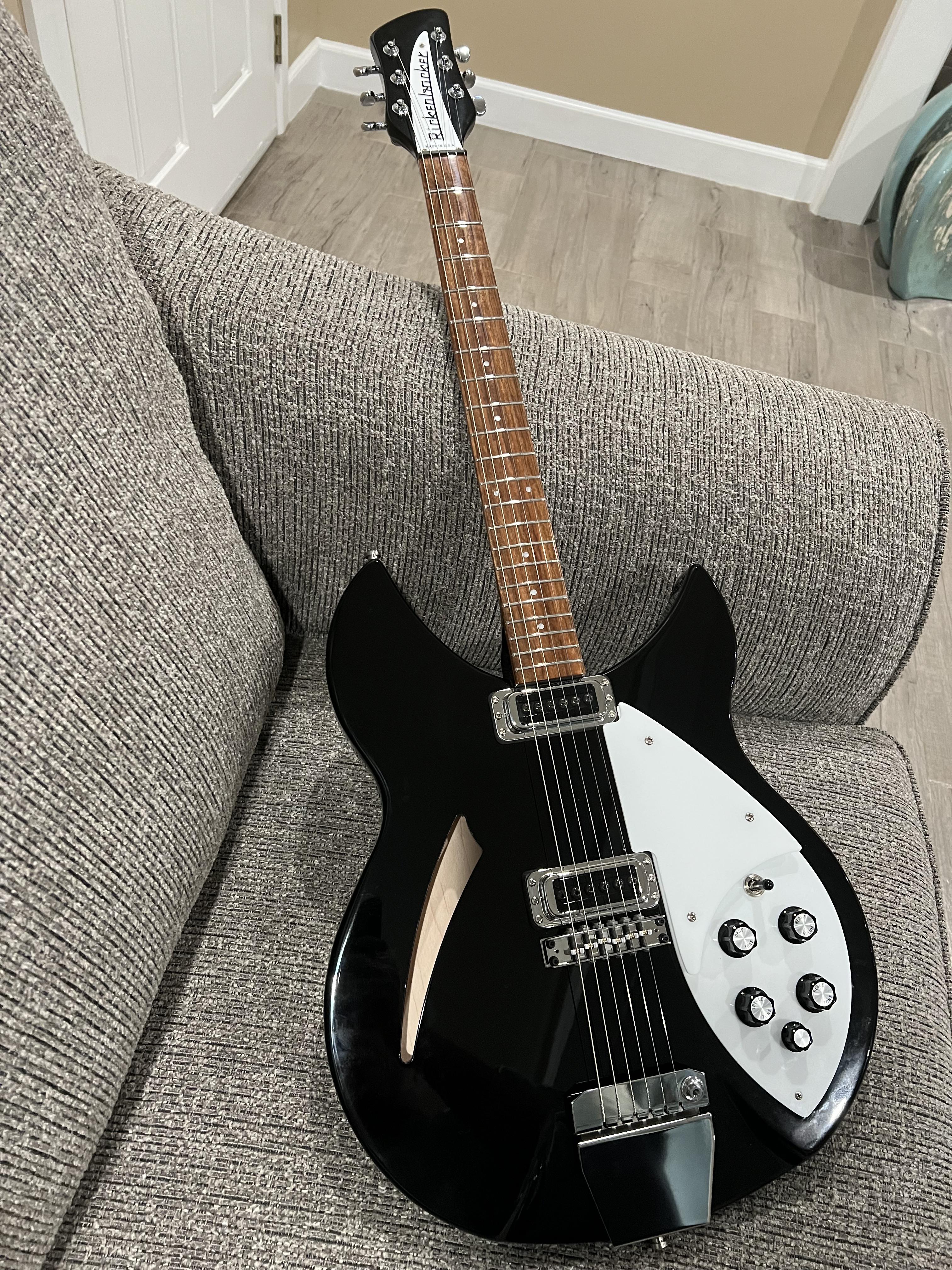 My New 2023 Rickenbacker 330/335 with some mods! : r/rickenbacker