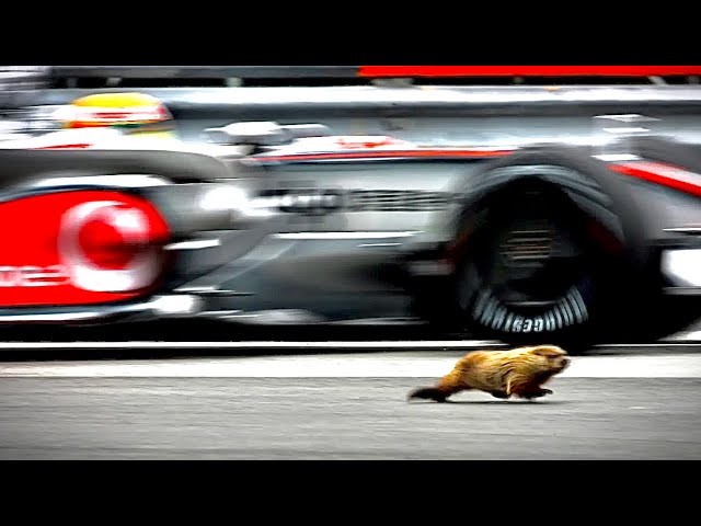 F1 2008 カナダGP プログラム F1 2008 カナダGP プログラム カー