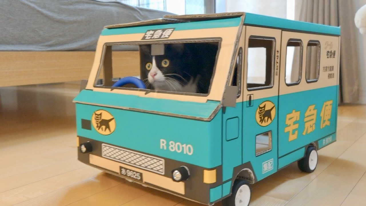 Make a custom cardboard car that the cat drives - YouTube