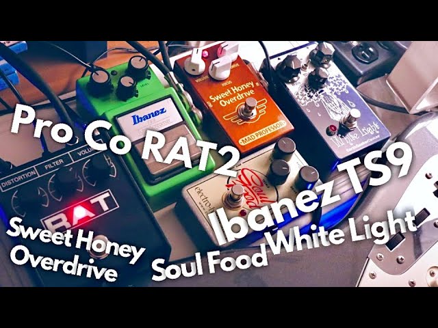 Pro Co RAT2 × TS9 Tube Screamer × Sweet Honey Overdrive , Soul