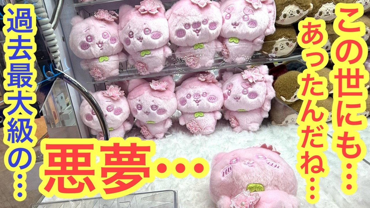 Chiikawa] I just wanted a cherry blossom-colored mascot of a black