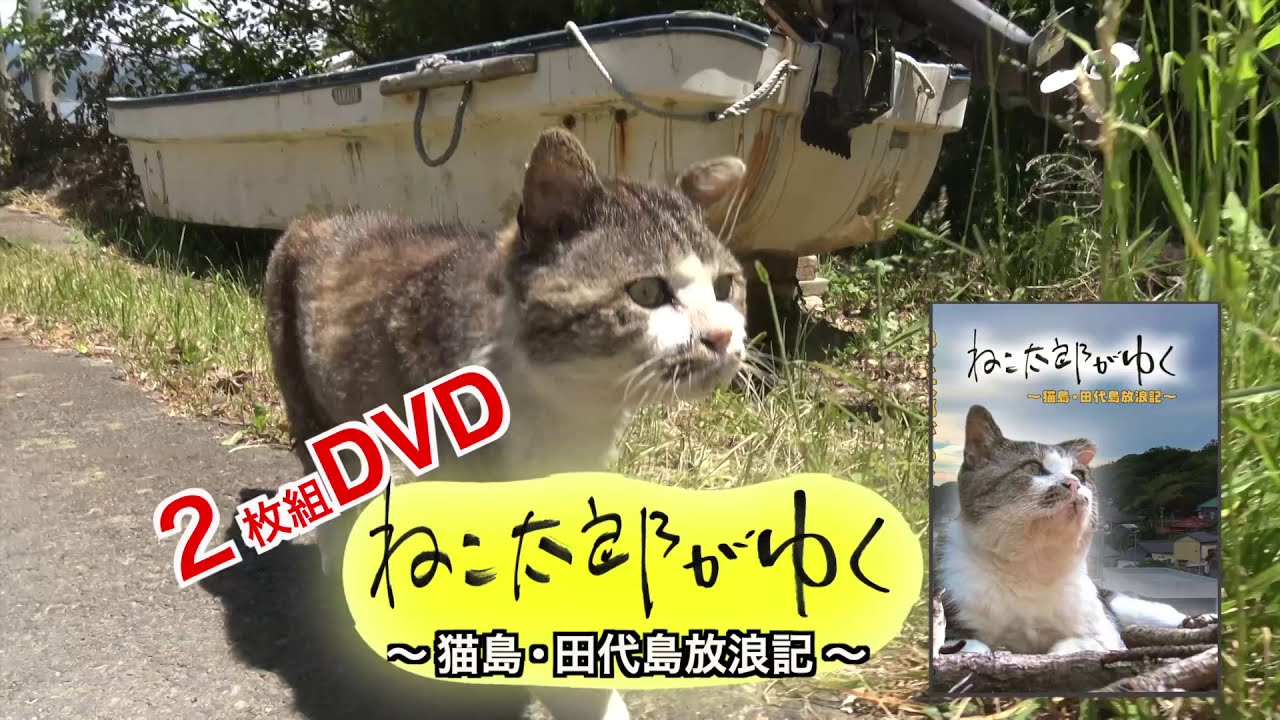 ねこ太郎がゆく』2枚組DVD／在庫僅少！通常より1,000円引き！ | Smp通販部