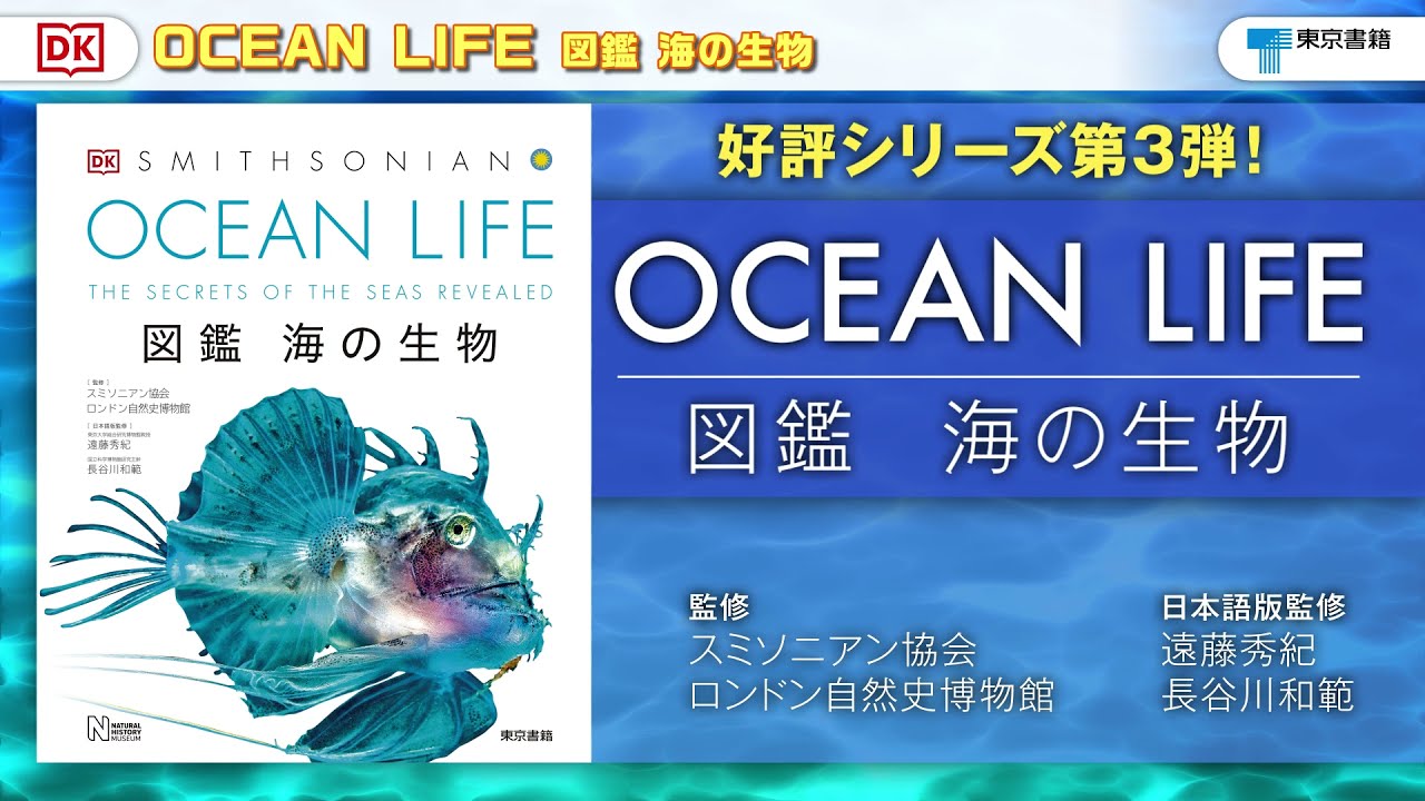 東京書籍】 一般書籍 自然科学 OCEAN LIFE 図鑑 海の生物
