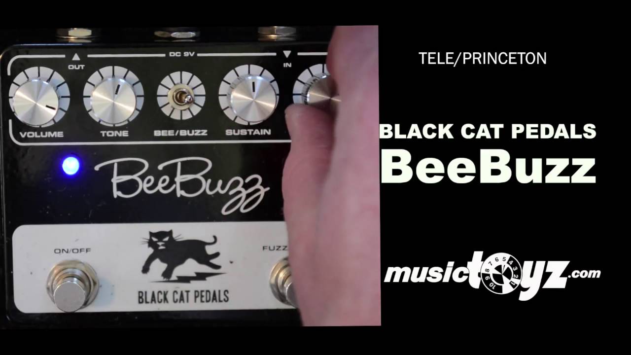 Black Cat Bee Buzz Fuzz guitar pedal - YouTube