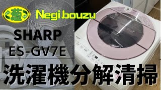 分解清掃【 SHARP 】シャープ 洗濯7.0㎏ 全自動洗濯機 低騒音