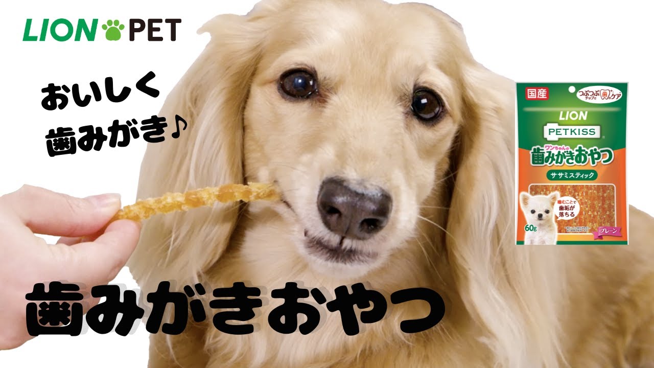 PETKISS ワンちゃんの歯みがきおやつ 低脂肪ササミスティック プレーン