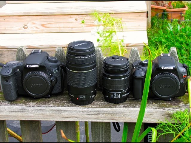 Canon 18-55mm vs 75-300mm - YouTube