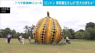 草間彌生さんの「巨大なかぼちゃ」オブジェ ロンドンの公園に登場(2024