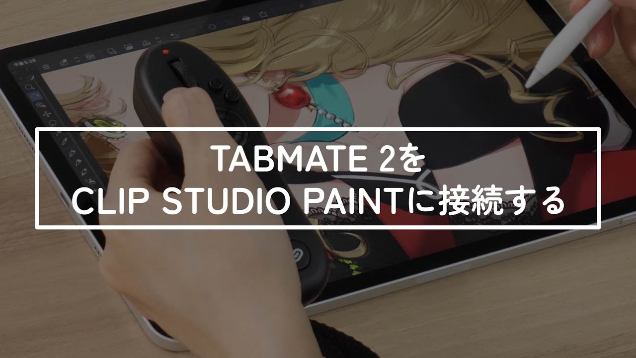 CLIP STUDIO TABMATE 2