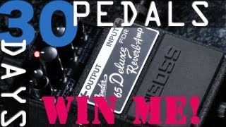 Boss FDR-1 Fender Deluxe Reverb Bitesize Review - 30 Days, 30