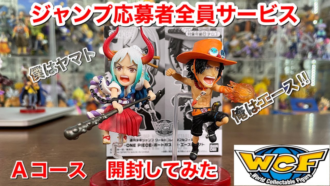 ワンピースフィギュア 応募者全員サービス Aコース ポートガス・D