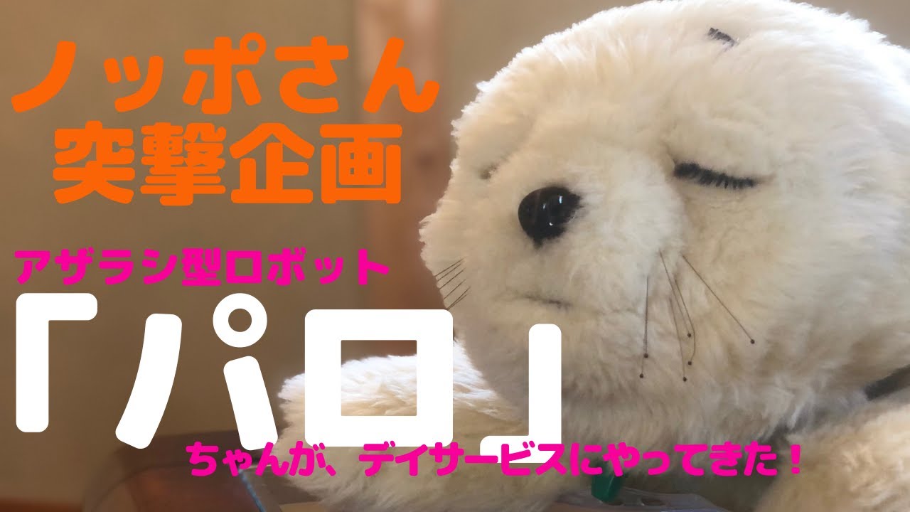 アザラシ型ロボット『パロ』】ノッポさん突撃企画第一弾！アザラシ型