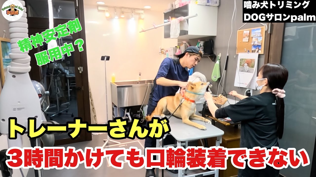 ☆黒崎彩子さん来店記念☆ 裏・古式ゆかり誕生日祭 ときメモ対戦