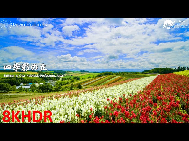 四季彩の丘 Shikisai no Oka [8KHDR] - YouTube