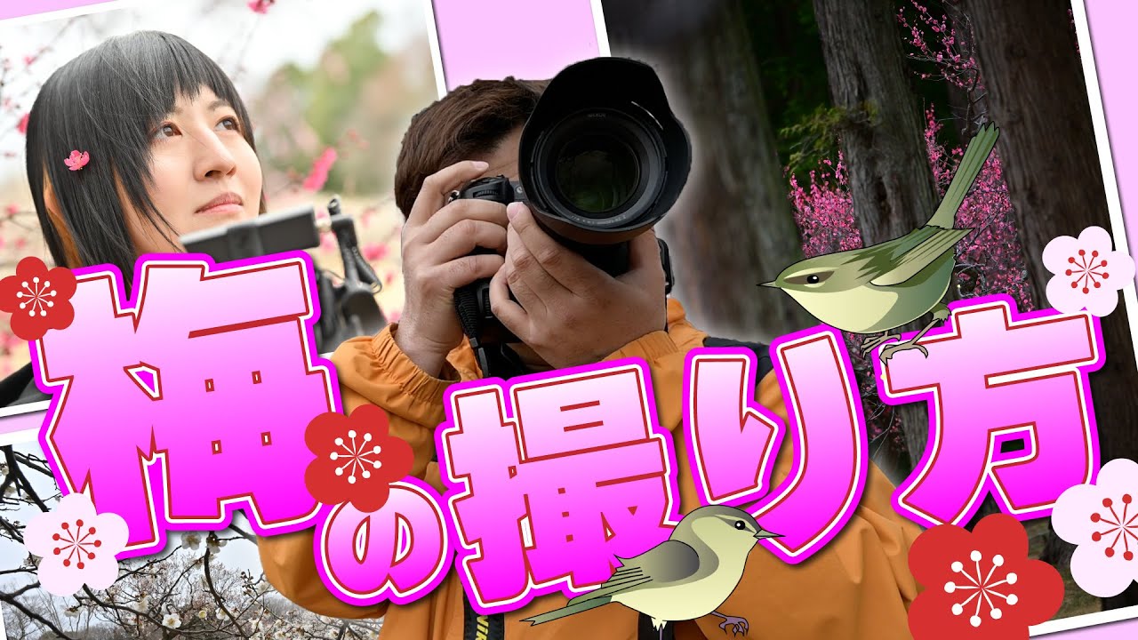 Even beginners can learn how to take pictures! I tried taking