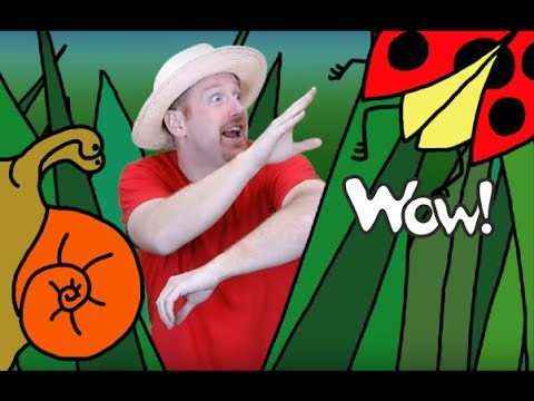 Where is the Ladybird? | English For Children | English For Kids