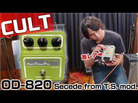最高の歪み】CULTのOD-820 MODを入手しました。【エフェクターレビュー