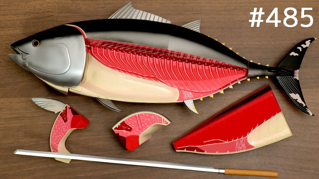 黒マグロ解体フィギュアをさばく / Dismantling Figure Bluefin Tuna