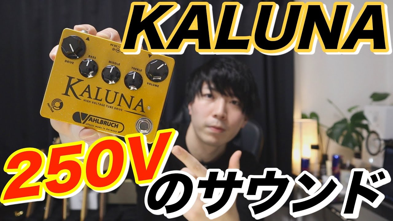 250V】真空管搭載 Vahlbruch KALUNA OVERDRIVEを紹介！ - YouTube