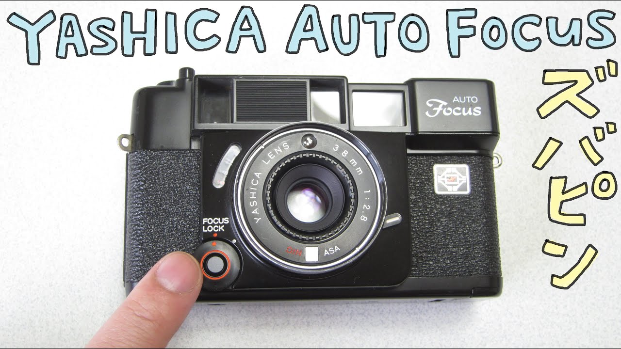 フィルムカメラ】YASHICA AUTO Focus で写真を撮りました！ハードオフ