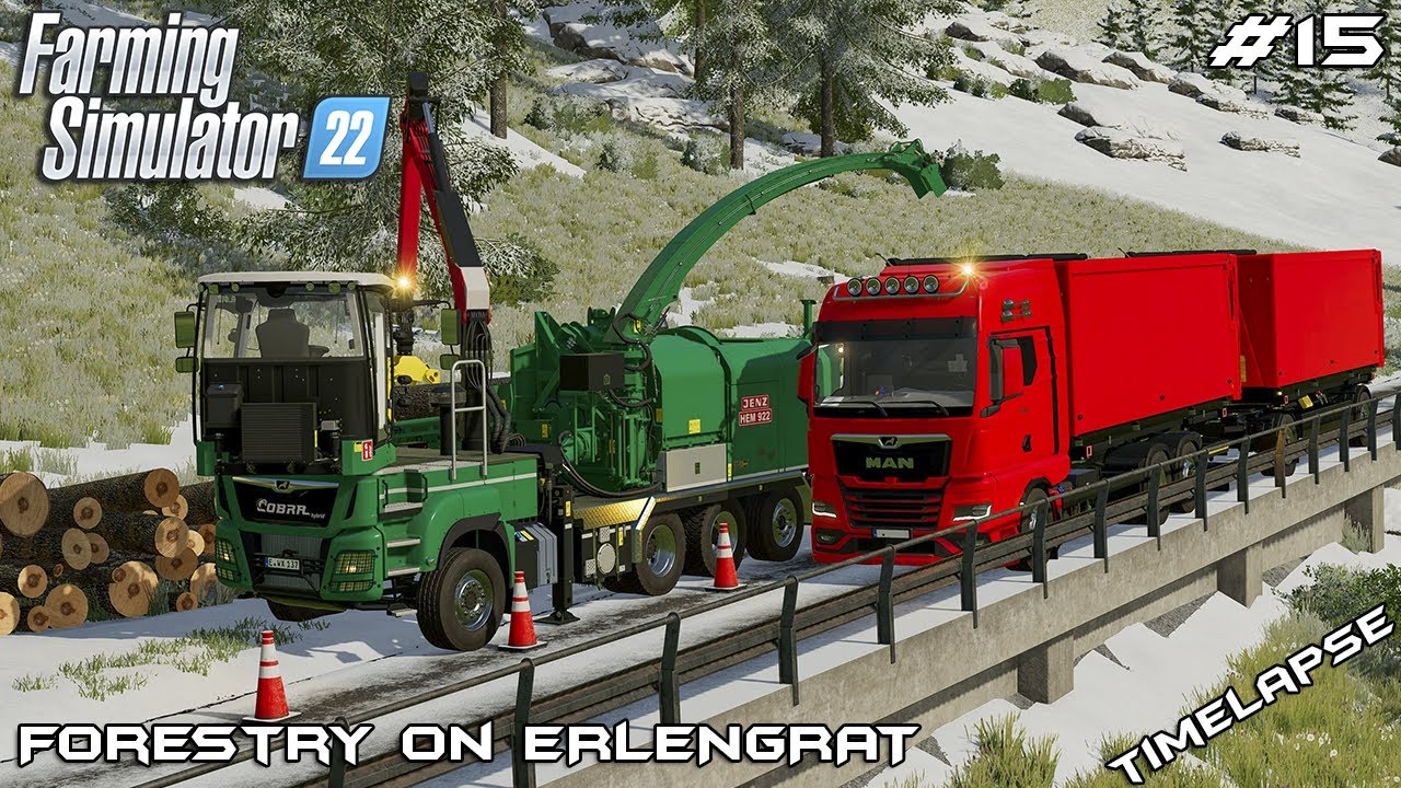 Making WOODCHIPS with JENZ HEM 922 COBRA | Forestry on ERLENGRAT