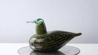 OIVA TOIKKA Bird Common Teal Female