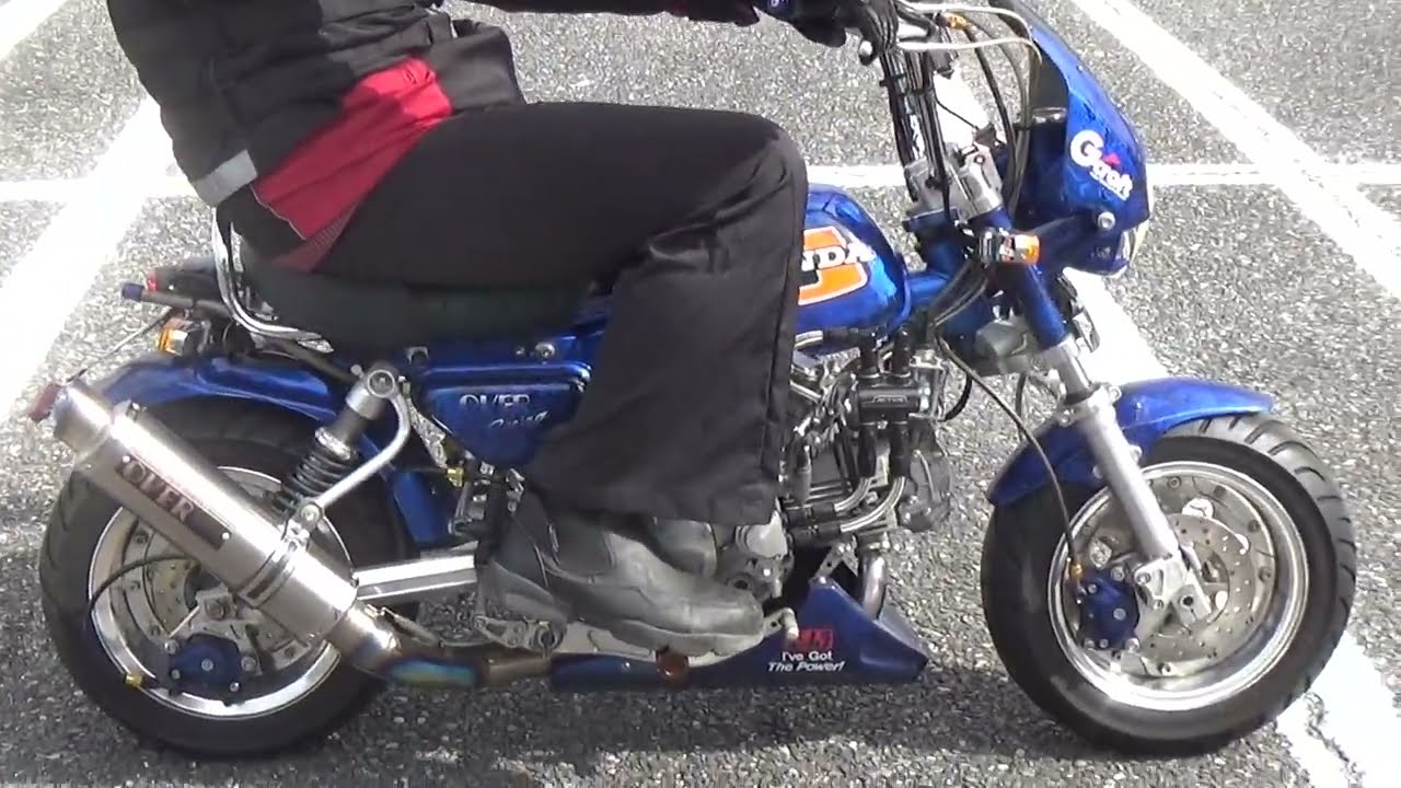 2100011219946 MONKEY - YouTube