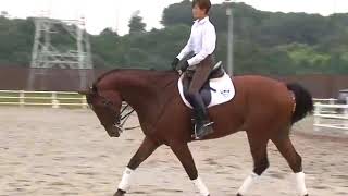 北井裕子のドレッサージュレッスン Lesson 1 「ストレッチ