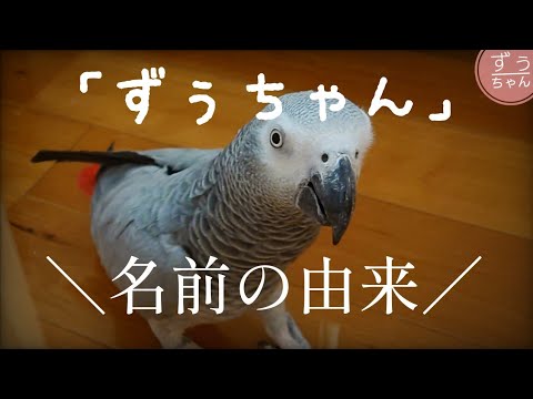 The origin of the name 