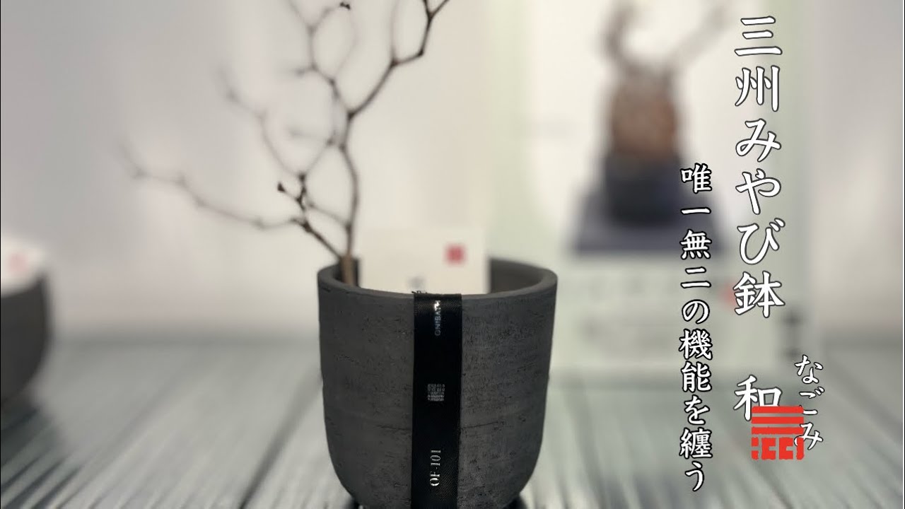 BOTANICAL GALLERY Vol.4 本当の三州みやび鉢について - YouTube