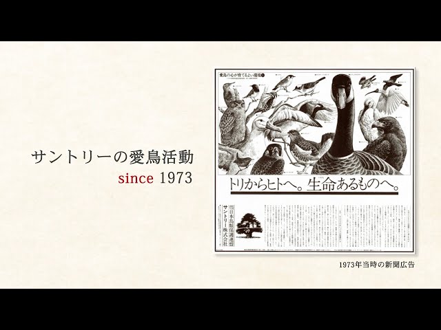 サントリーの愛鳥活動 『よみがえる鳥たち』 1分45秒 - YouTube