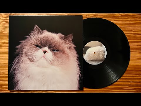 カネコアヤノ – 燦々 | Releases | Discogs