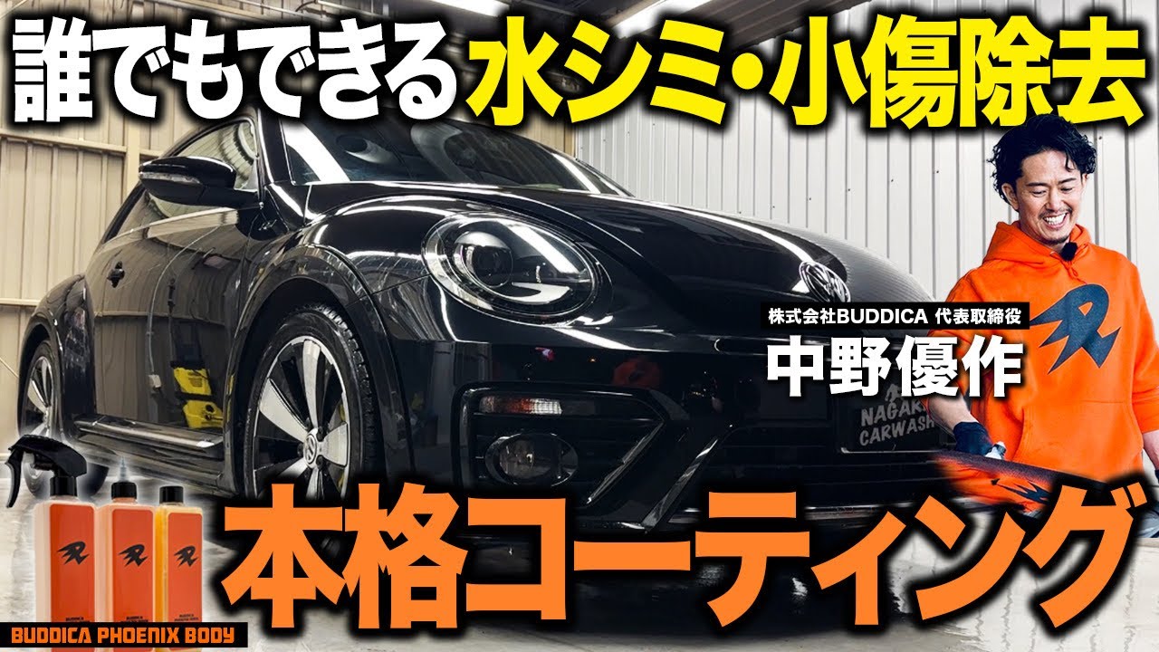 Back in Stock] BUDDICA PHOENIX BODY: Shampoo, base coat, and