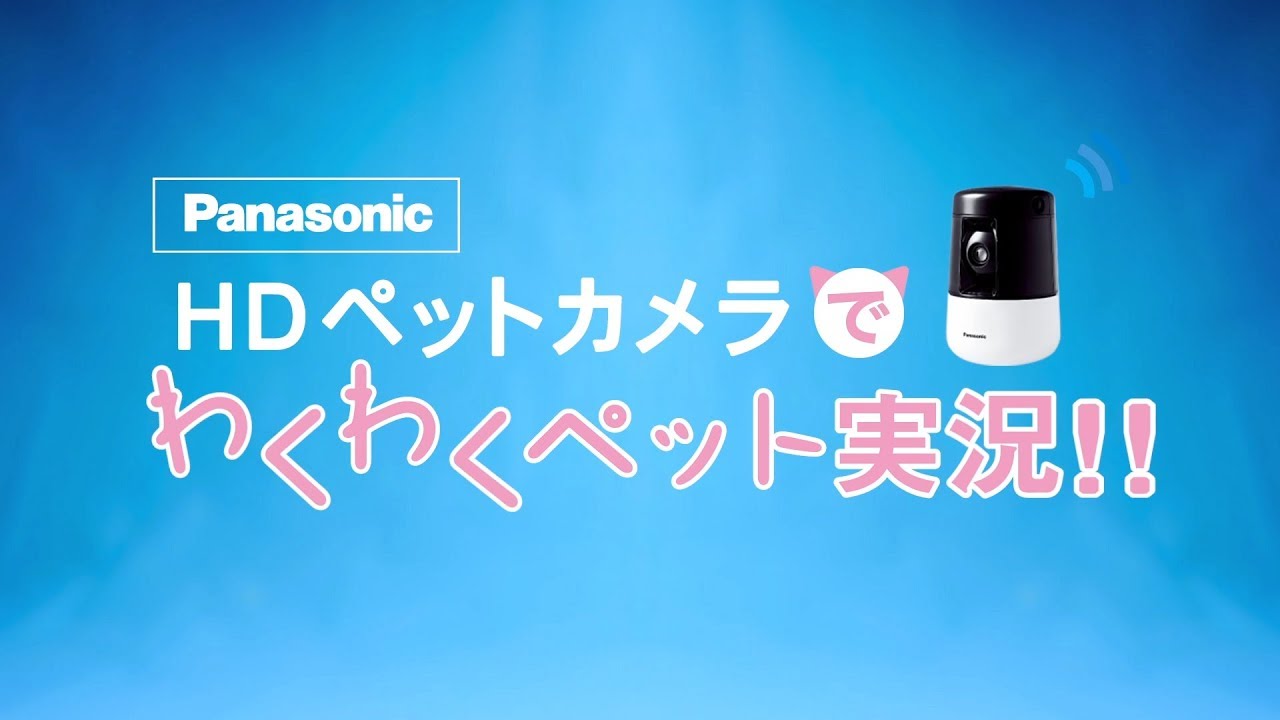 HDペットカメラ ペットたちのお留守番を実況中継！【パナソニック公式