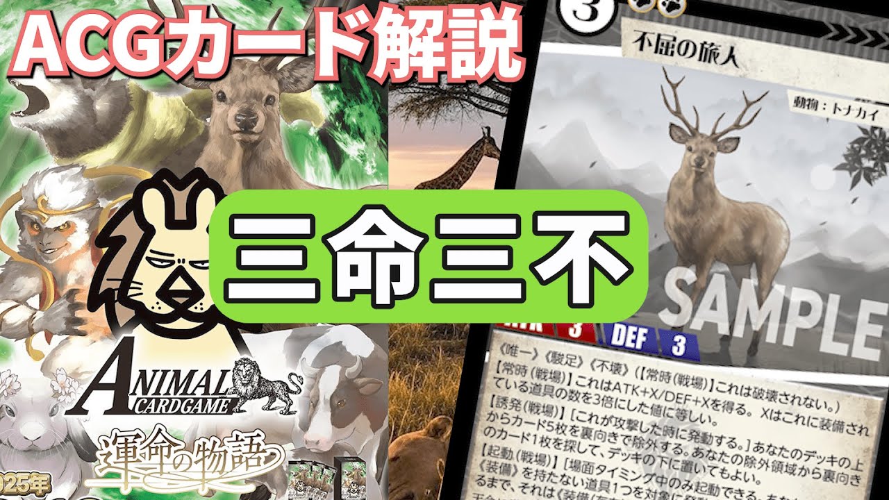 ○ T アニマルカードゲーム 運命の物語 2BOXセット N5593 ○ T