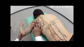 2】 基本的なMTAの治療技術 Myotuning Approach MTAマイオ
