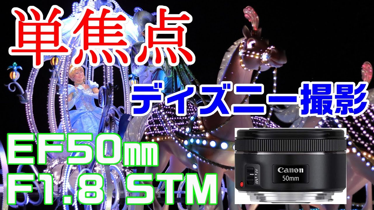 Recommended Prime Lens for Disney Photography: Canon EF50mm F1