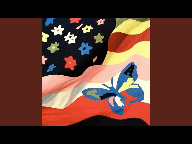 WILDFLOWER (2LP)AVALANCHES アヴァランチーズ アヴァランチーズ