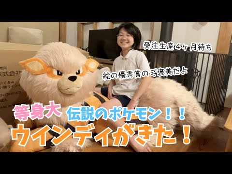 等身大のウインディがきた！！待ちに待ったさなちゃんへのご褒美