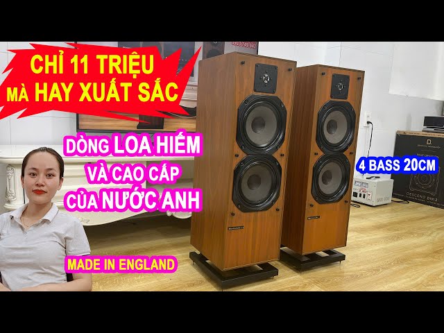 MAKE YOUR HAIR STAND UP with the RARE EUROPEAN SPEAKER sound