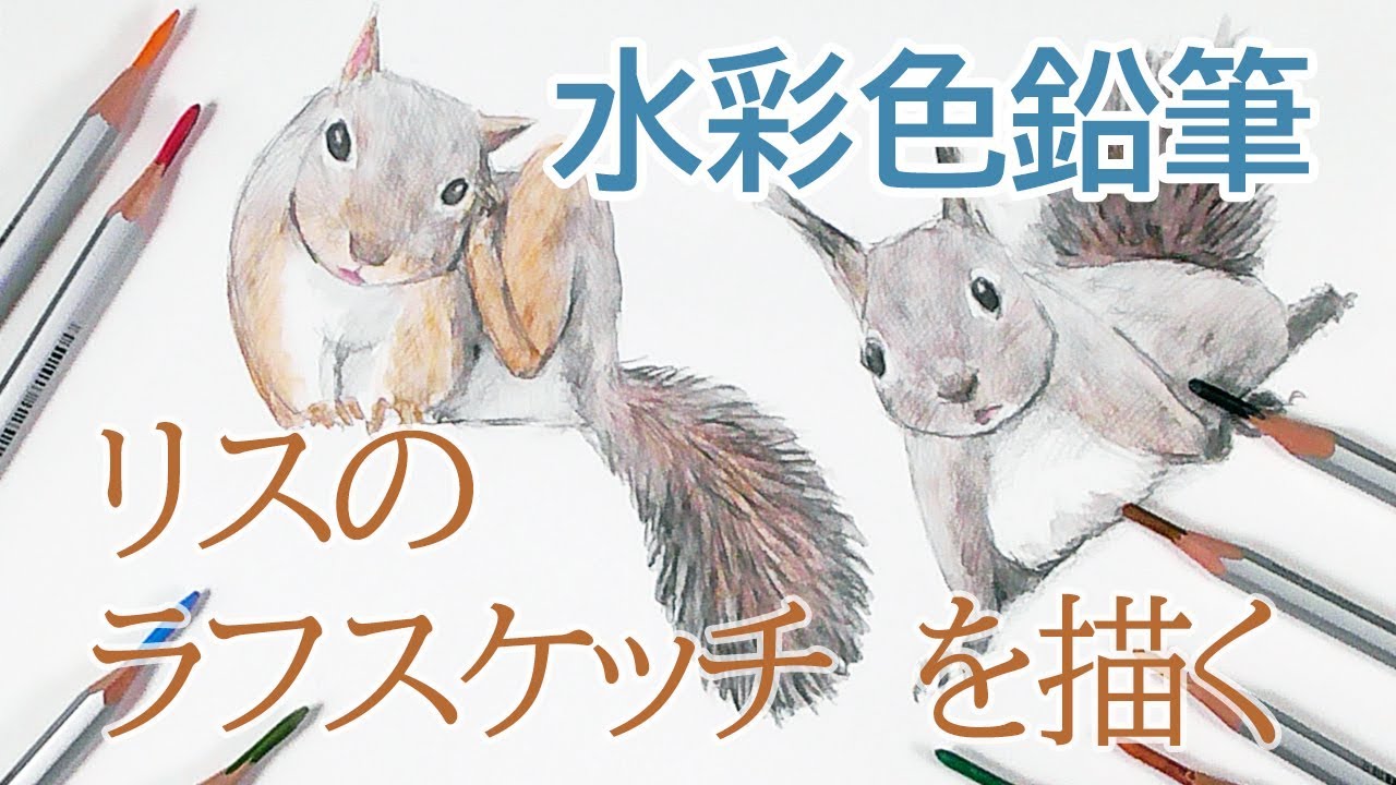 はるき堂おおだんな】 水彩色鉛筆でリスのラフスケッチを描く
