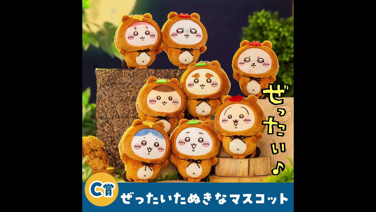 ちいかわ たぬきだもんくじ - ちいかわマーケット ちいかわくじ - ちい